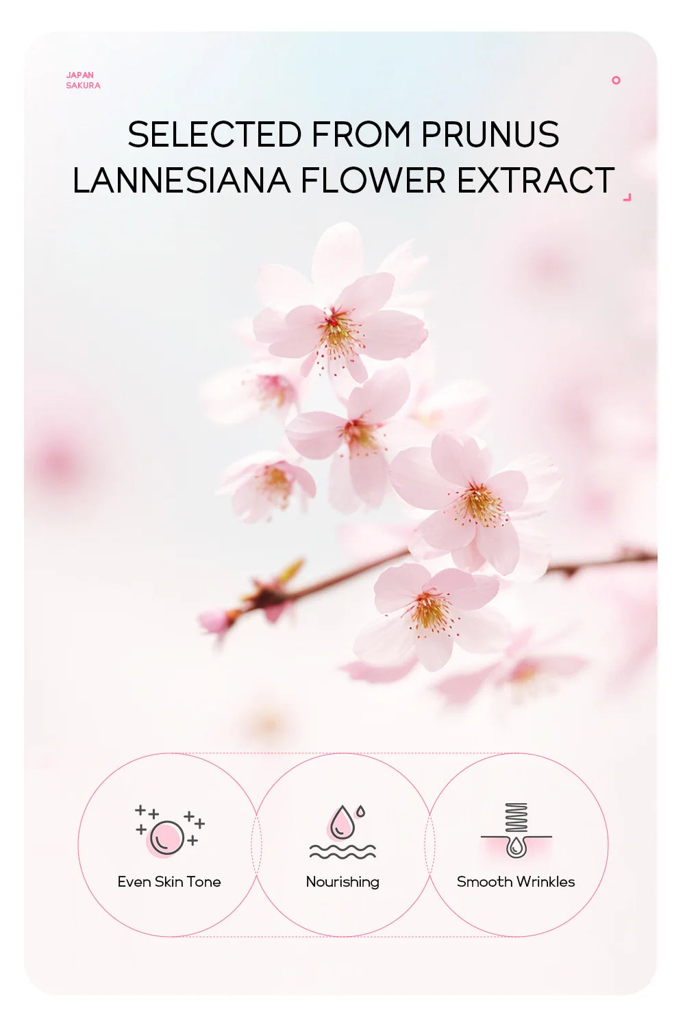 LAIKOU 24K Gold Sakura Peel Off Face Mask